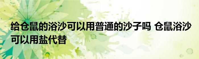 给仓鼠的浴沙可以用普通的沙子吗 仓鼠浴沙可以用盐代替 