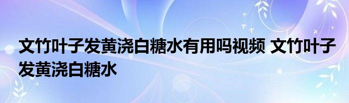 文竹叶子发黄浇白糖水有用吗视频 文竹叶子发黄浇白糖水 