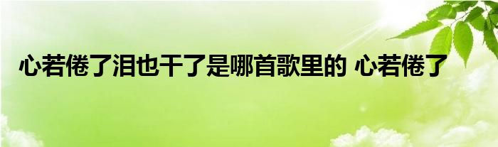 心若倦了泪也干了是哪首歌里的 心若倦了 