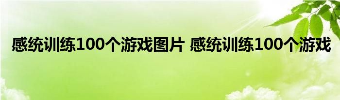 感统训练100个游戏图片 感统训练100个游戏 