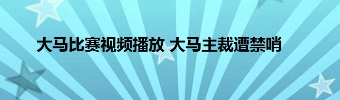 大马比赛视频播放 大马主裁遭禁哨 