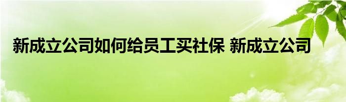 新成立公司如何给员工买社保 新成立公司 