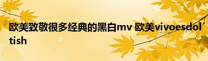 欧美致敬很多经典的黑白mv 欧美vivoesdoltish 