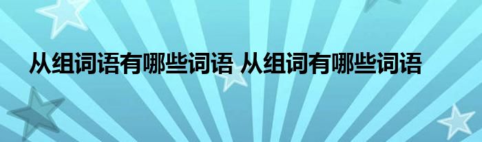 从组词语有哪些词语 从组词有哪些词语 