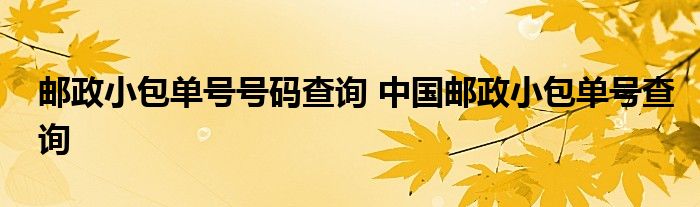 邮政小包单号号码查询 中国邮政小包单号查询 