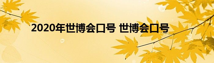 2020年世博会口号 世博会口号 