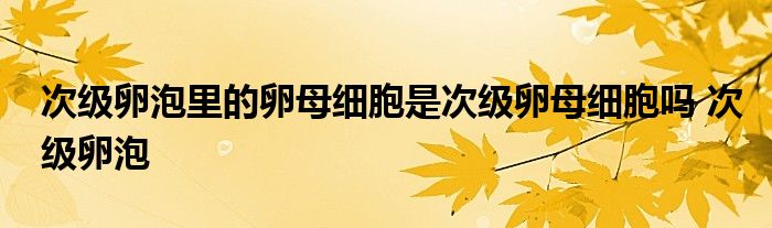 次级卵泡里的卵母细胞是次级卵母细胞吗 次级卵泡 