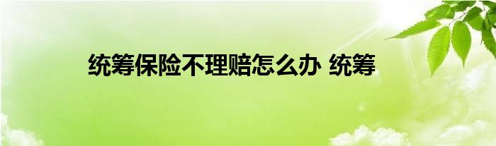 统筹保险不理赔怎么办 统筹 