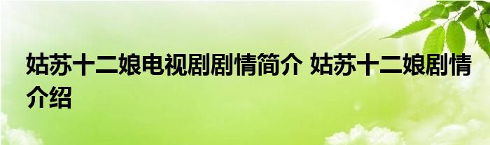 姑苏十二娘电视剧剧情简介 姑苏十二娘剧情介绍 