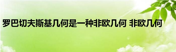 罗巴切夫斯基几何是一种非欧几何 非欧几何 