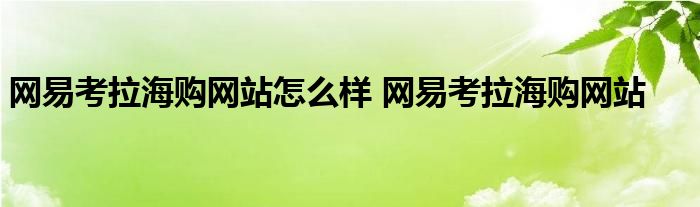 网易考拉海购网站怎么样 网易考拉海购网站 