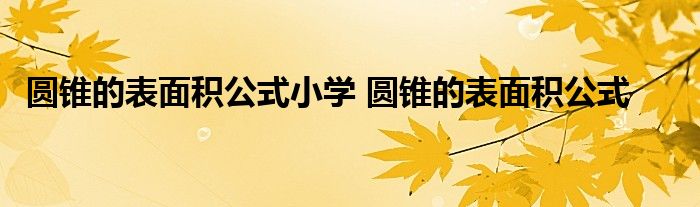 圆锥的表面积公式小学 圆锥的表面积公式 