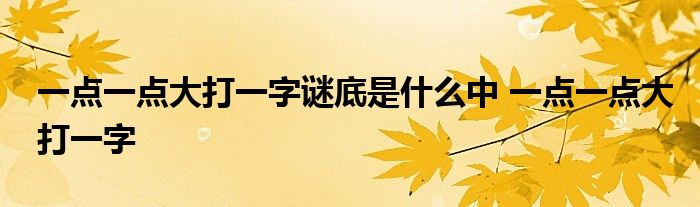 一点一点大打一字谜底是什么中 一点一点大打一字 