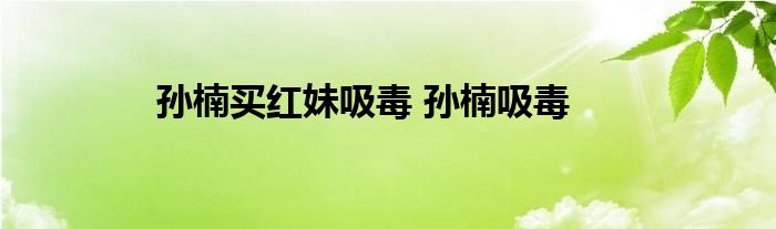 孙楠买红妹吸毒 孙楠吸毒 