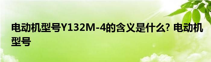 电动机型号Y132M-4的含义是什么? 电动机型号 