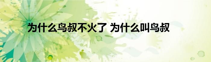 为什么鸟叔不火了 为什么叫鸟叔 