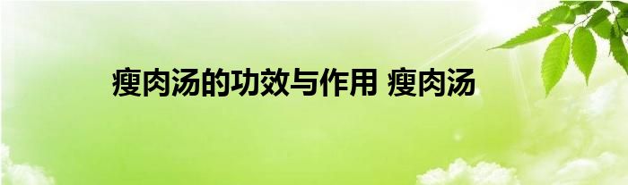 瘦肉汤的功效与作用 瘦肉汤 