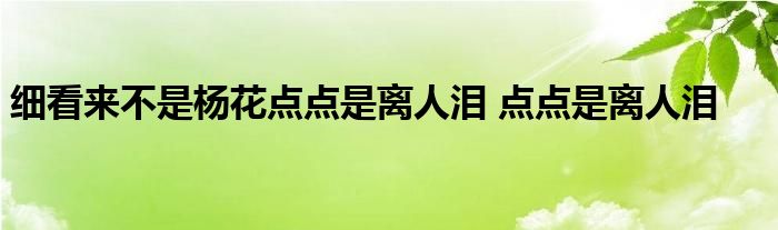 细看来不是杨花点点是离人泪 点点是离人泪 