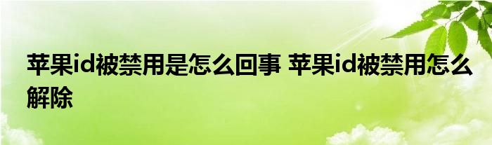 苹果id被禁用是怎么回事 苹果id被禁用怎么解除 